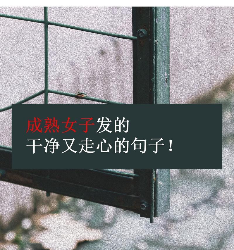 信任的美丽——探寻信任的真谛