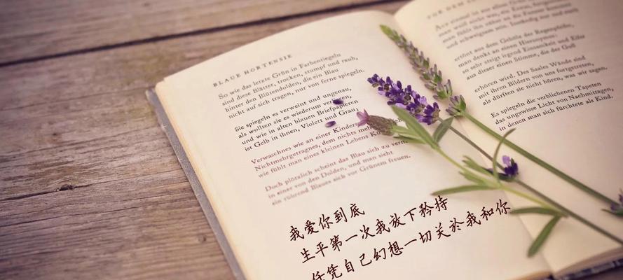 心灵之美：探寻灵魂深处的美好