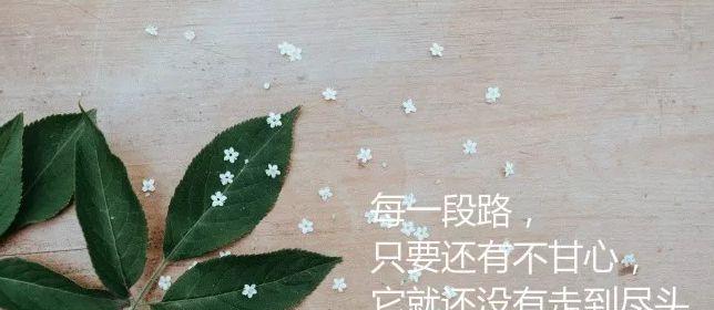 心灵深处的幸福