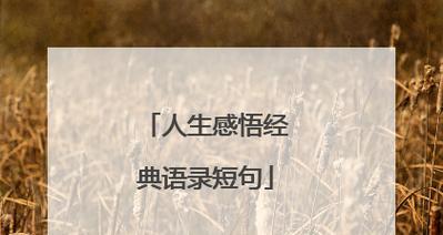 脚踏实地，勇往直前（以励志的力量迎接挑战）