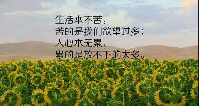 微笑，幸福的味道（用短句感悟生活中的点滴）