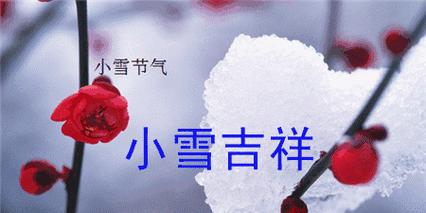 寒梅枝头盛开，一幅美丽的冬景
