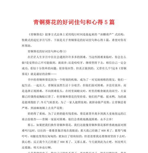《向日葵的美丽》