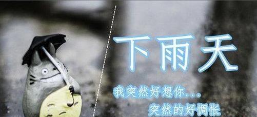 下雨天，一场诗意与悲伤的交织（写意雨中的人生片段）