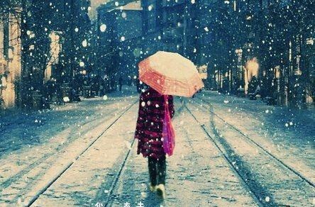 《雪落静夜》