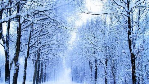 《雪落静夜》