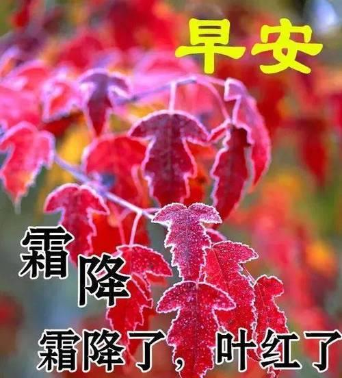 霜降温馨问候好句有哪些？如何用好句表达关怀？
