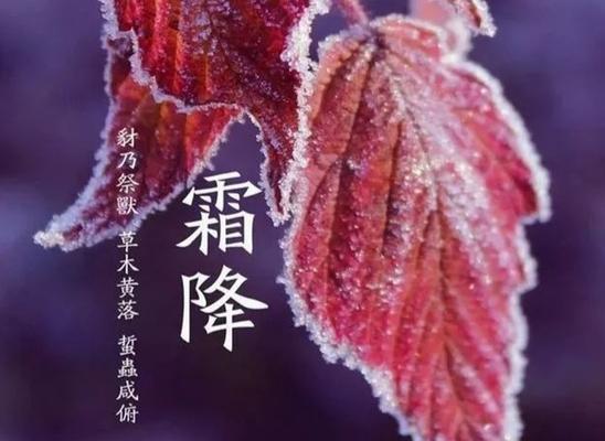 霜降温馨问候好句有哪些？如何用好句表达关怀？