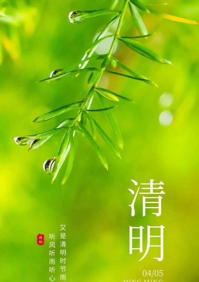 清明节的简短句子有哪些？2023年清明节如何表达哀思？