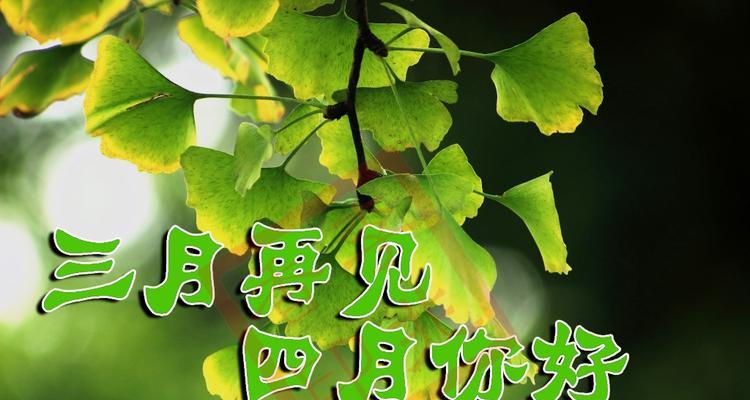 四月你好唯美好句有哪些？如何用它们点亮你的春天？