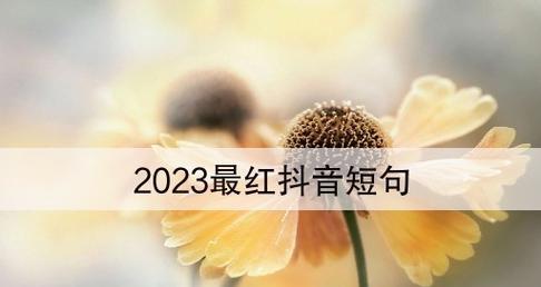 2023年七夕节抖音最火句子精选有哪些？如何在抖音上找到七夕节热门句子？