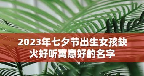 2023年七夕节抖音最火句子精选有哪些？如何在抖音上找到七夕节热门句子？