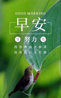 2023年努力积极的好句有哪些？如何用它们激励自己？