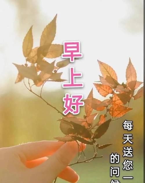 2023年美好的早安祝福语有哪些？如何挑选合适的早安祝福语？