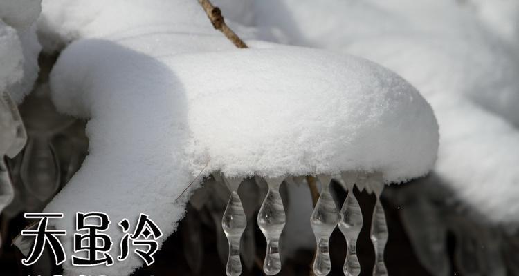 天气寒冷朋友圈暖心好句有哪些？如何用简短的话语温暖人心？