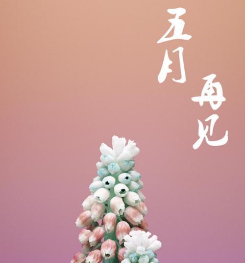 2023年六月你好好句子105句有哪些？如何应用到日常生活中？