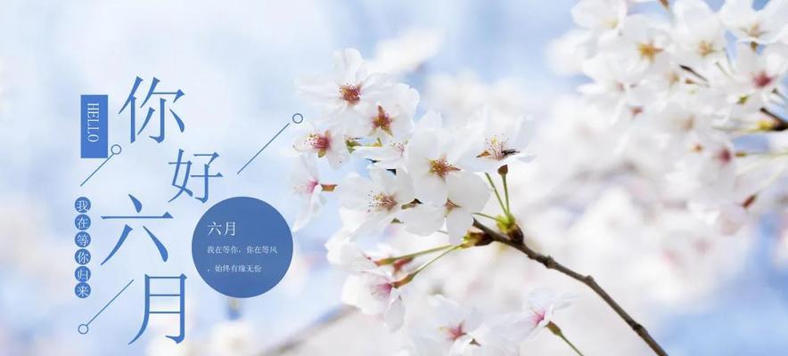 2023年六月你好好句子105句有哪些？如何应用到日常生活中？