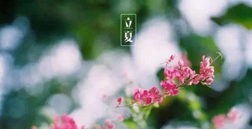 2023年立夏优秀祝福语有哪些？如何表达立夏的美好祝愿？