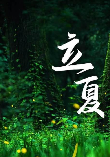 2023年立夏金句有哪些？如何挑选适合的立夏祝福语？