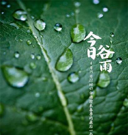 2023年谷雨节气有哪些祝福语？如何用句子表达祝福？