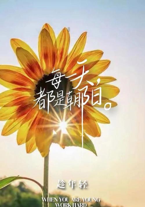 2023年过去了我们迎来了2023，有哪些新的话语句子？