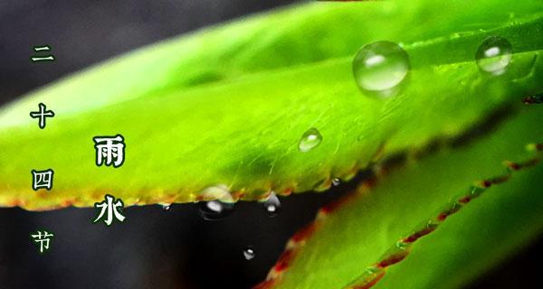 2023年雨水节气有哪些谚语？这些句子的含义是什么？