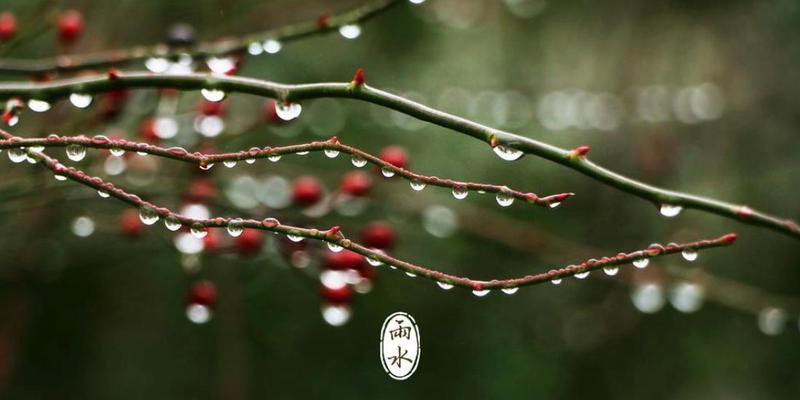 2023年雨水节气有哪些谚语？这些句子的含义是什么？