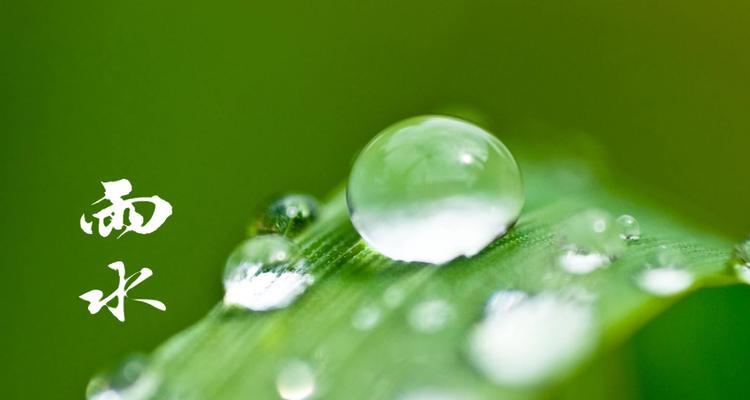 2023年雨水节气有哪些谚语？这些句子的含义是什么？