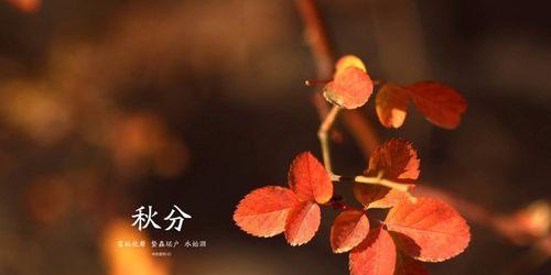 秋分有哪些传统谚语？这些俗语背后的含义是什么？