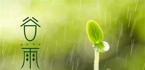 2023年谷雨朋友圈经典语录有哪些？如何挑选适合的分享内容？