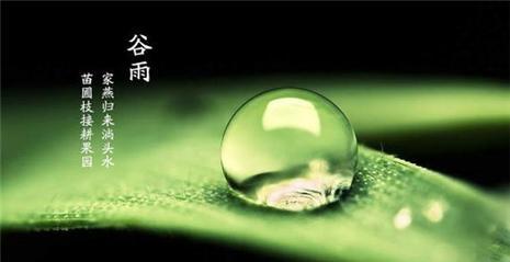 2023年谷雨朋友圈经典语录有哪些？如何挑选适合的分享内容？