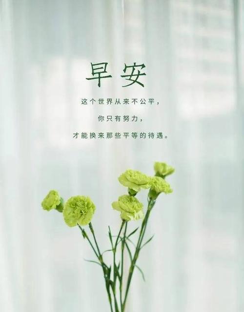 2023年高考正能量励志短句唯美祝福有哪些？如何用短句为考生加油？