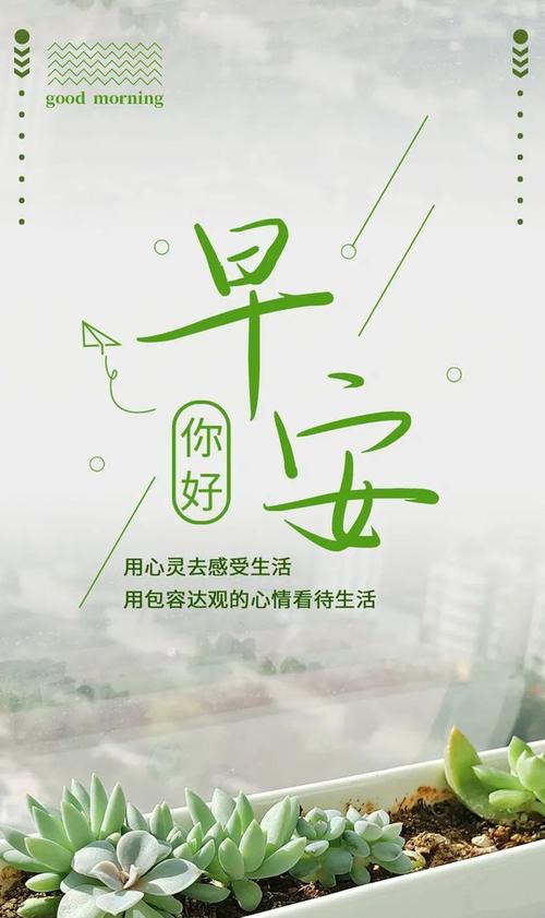 2023年发朋友圈早安的句子有哪些？如何选择合适的早安句子分享？