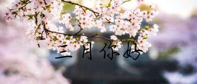 2023年二月再见三月你好说说语录怎么写？有哪些热门语录推荐？