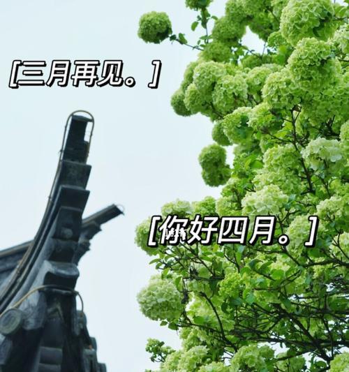 2023年二月再见三月你好说说语录怎么写？有哪些热门语录推荐？