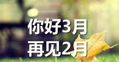 2023年二月你好唯美祝福语怎么写？有哪些创意表达方式？