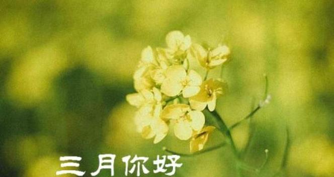 2023年二月你好唯美祝福语怎么写？有哪些创意表达方式？