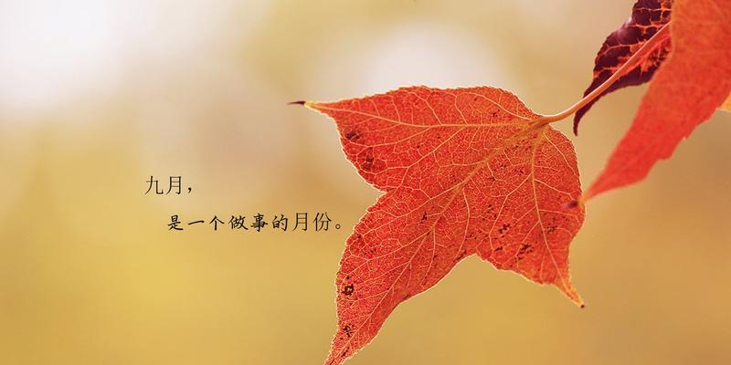 2023年二月第一天朋友圈说说语录有哪些？如何写出有创意的说说？