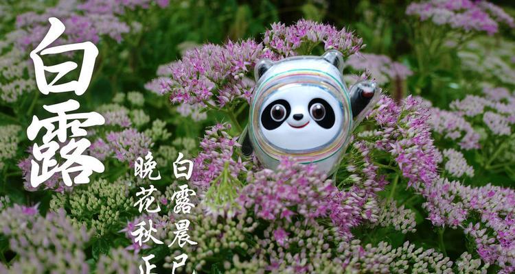 2023年白露节气优美祝福语有哪些？如何表达祝福？