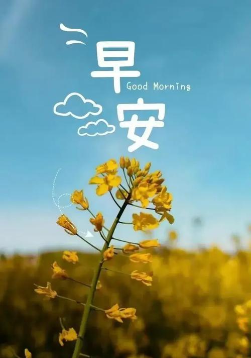 2023年抖音最火的早安句子有哪些？如何用它们激励自己新的一天？