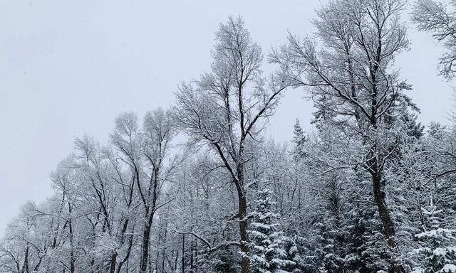 2023年冬天的第一场雪唯美说说是什么？如何用文字记录这美好时刻？