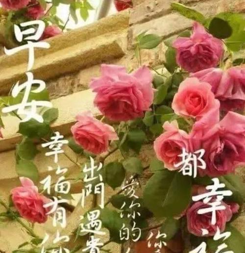 2023年第一天最暖心的早安句子是什么？如何用早安句子开启新一年？