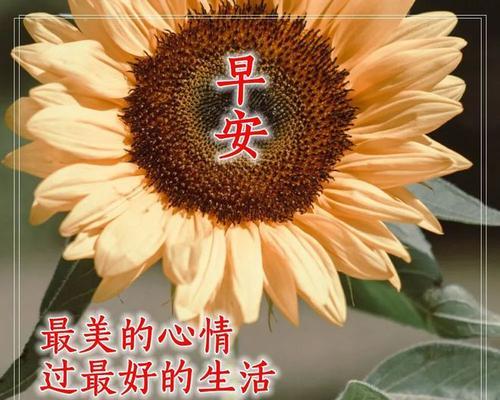 2023年第一天最暖心的早安句子是什么？如何用早安句子开启新一年？