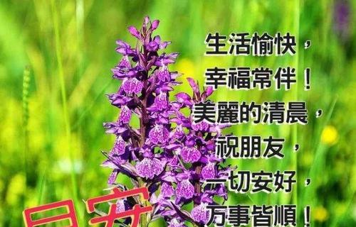 2023年第一天最打动人心早安祝福语是什么？如何表达新年的祝福？