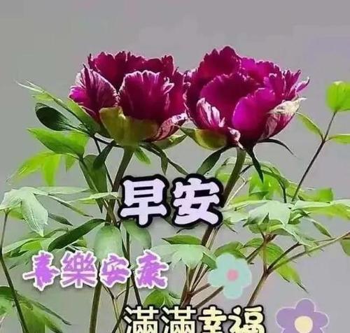 2023年第一天最打动人心早安祝福语是什么？如何表达新年的祝福？