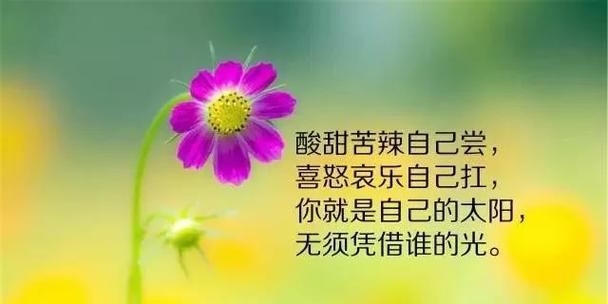 2023年第一天最打动人心早安说说是什么？如何用早安说说开启新一年？