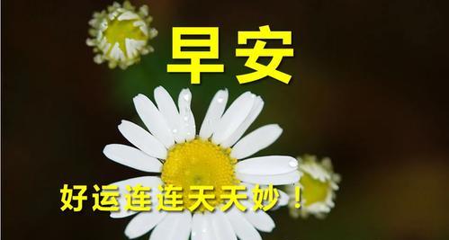 2023年第一天早安心情暖心语录是什么？如何用语录开启新一年？