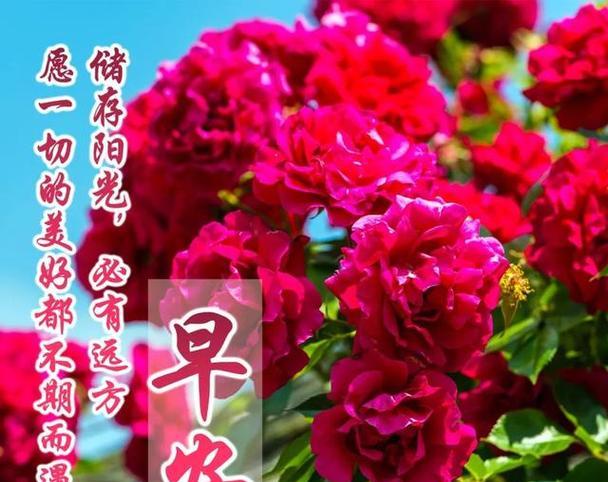 2023年第一天早安说说句子怎么写？有哪些温馨的祝福语？