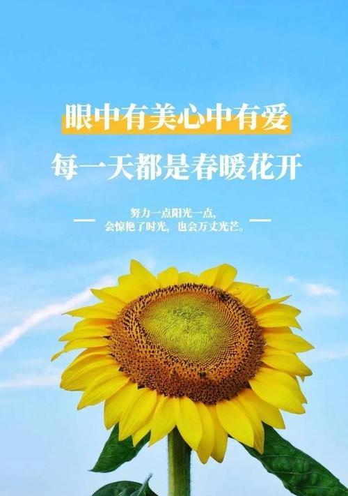 2023年第一天早安暖心句子语录有哪些？如何用这些句子激励自己？