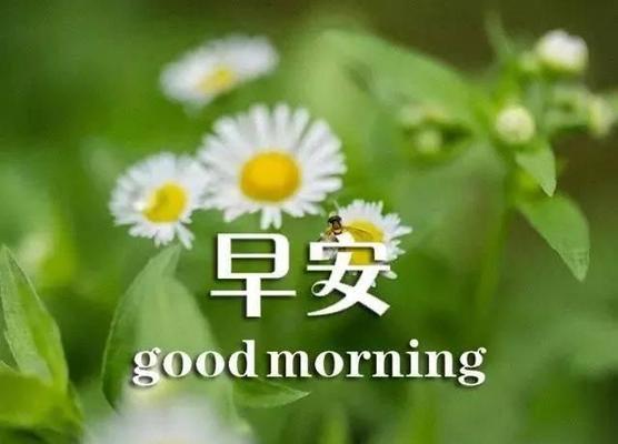 2023年第一天早安暖心句子语录有哪些？如何用这些句子激励自己？